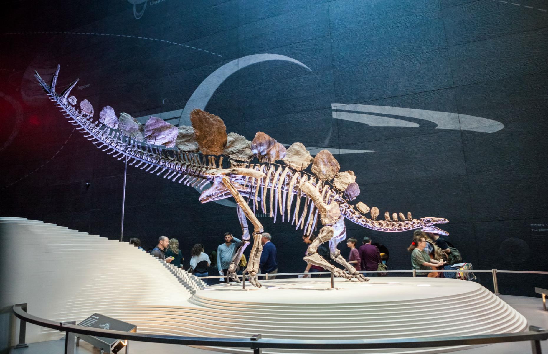Natural History Museum, London, UK